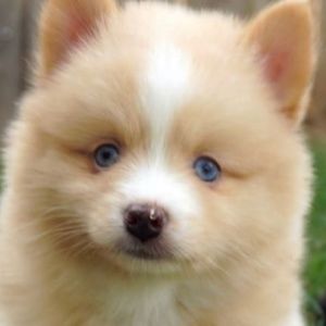 Meet your Posher, Marian